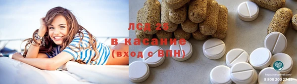 стаф Вяземский