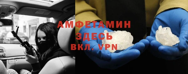 стаф Вяземский