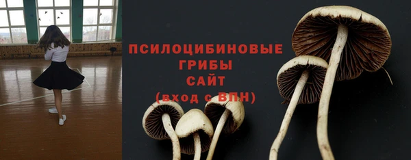 стаф Вяземский