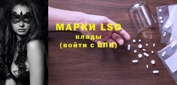 стаф Вяземский