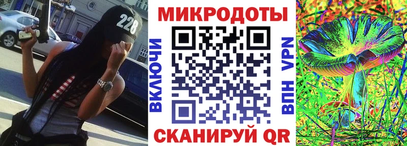 Псилоцибиновые грибы Psilocybe  Купить где  Тара 