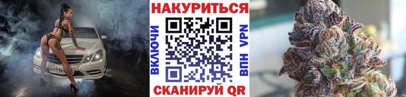 Бошки Шишки планчик  Купить закладки  Тара 